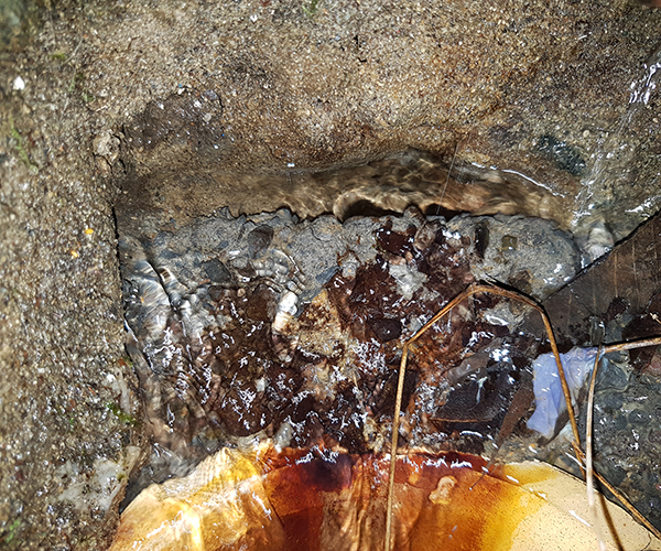 Leak Detection Image