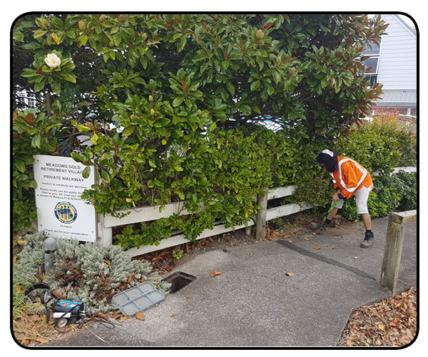 Image for Underground Water Leak Detection - Auckland