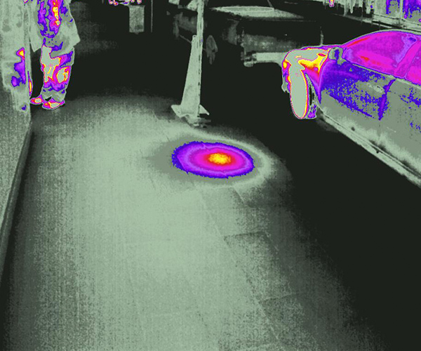 Infrared Thermography Image